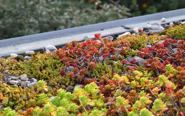 the cost of Wimborne St Giles green roof installation