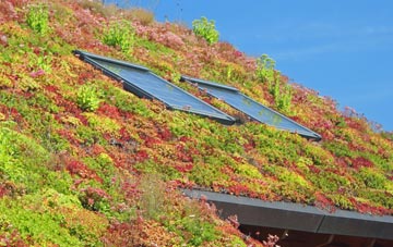 Wimborne St Giles living roof systems
