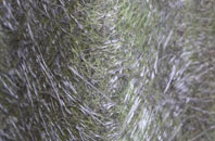 Wimborne St Giles fibreglass roof work